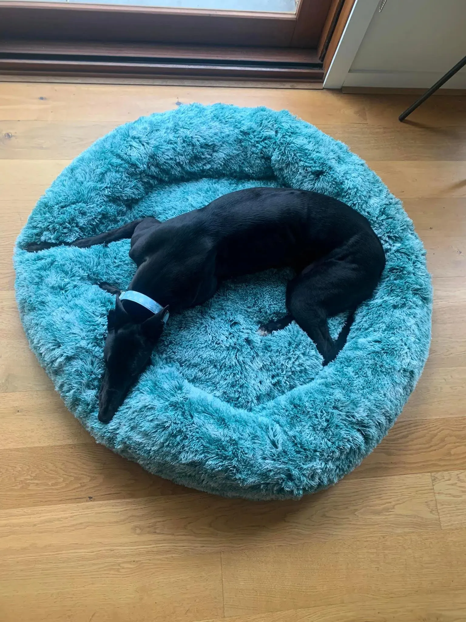 PaWz Removable Cover Calming Pet Bed