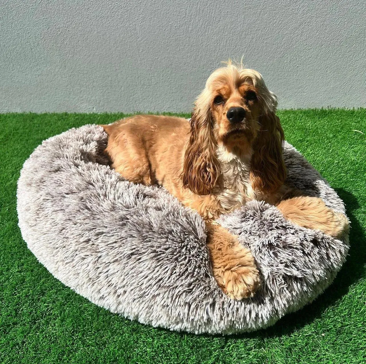 PaWz Removable Cover Calming Pet Bed