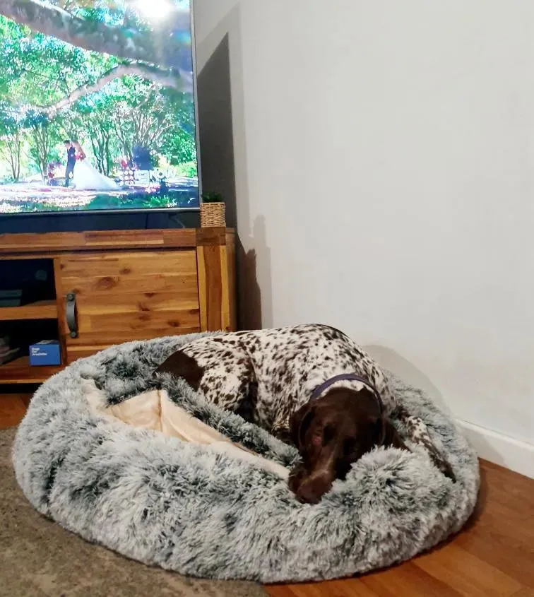 PaWz Removable Cover Calming Pet Bed