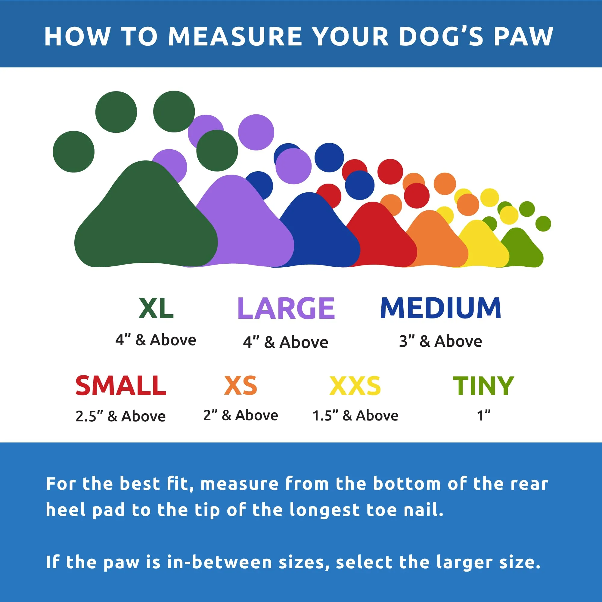 Pawz Waterproof Disposable and Reusable Rubberized Dog Boots - Black - Medium - 12 Pack