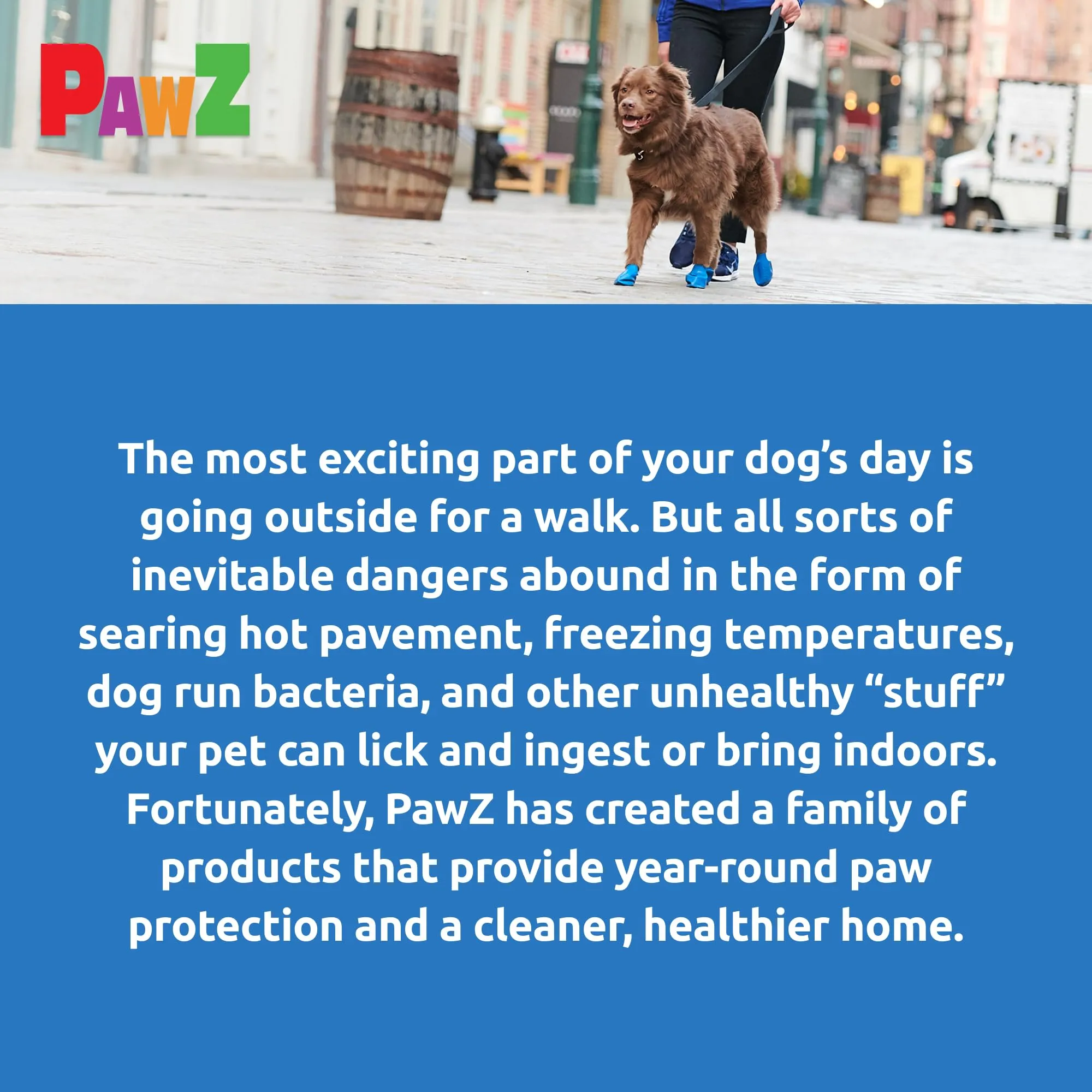 Pawz Waterproof Disposable and Reusable Rubberized Dog Boots - Black - Medium - 12 Pack