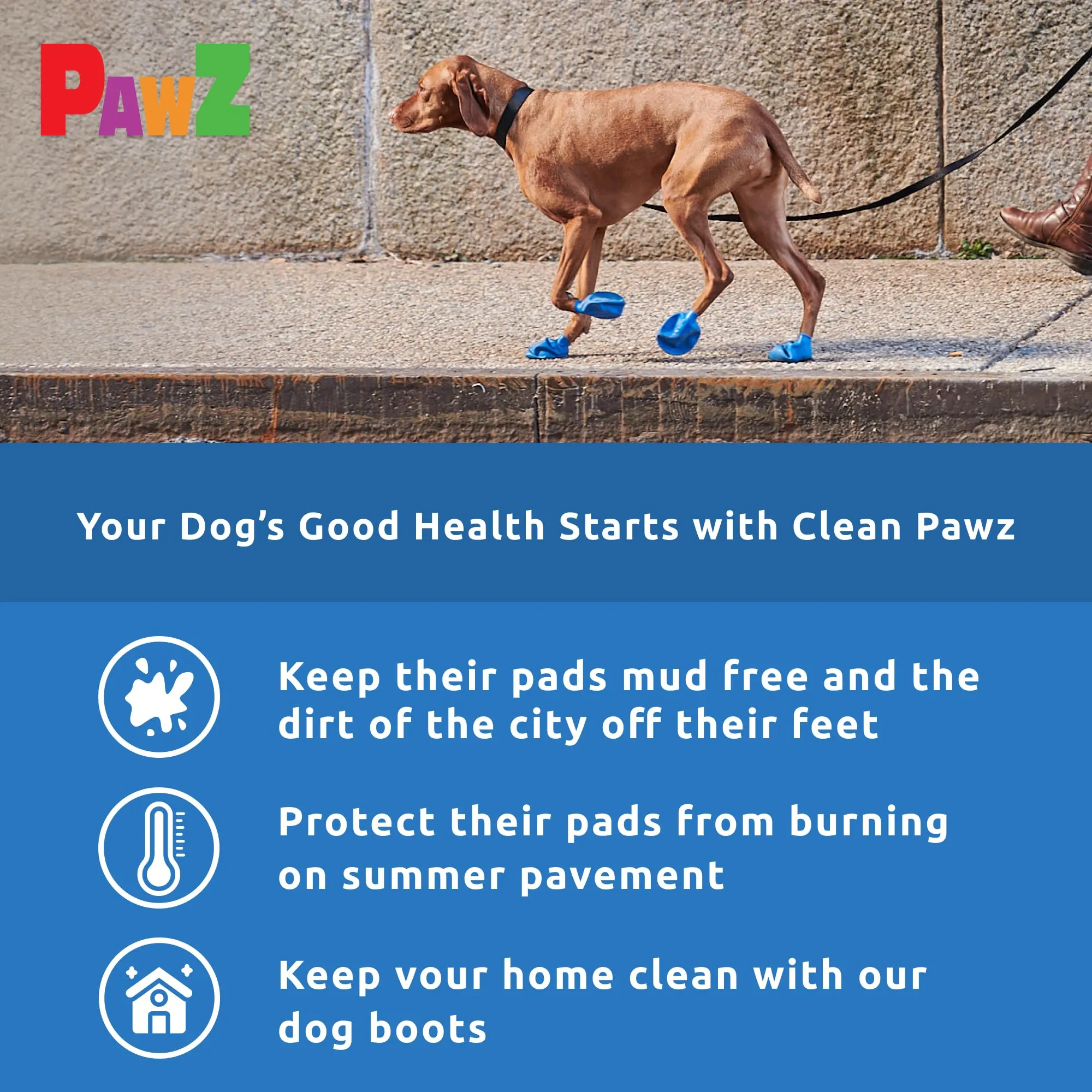 Pawz Waterproof Disposable and Reusable Rubberized Dog Boots - Black - Small - 12 Pack