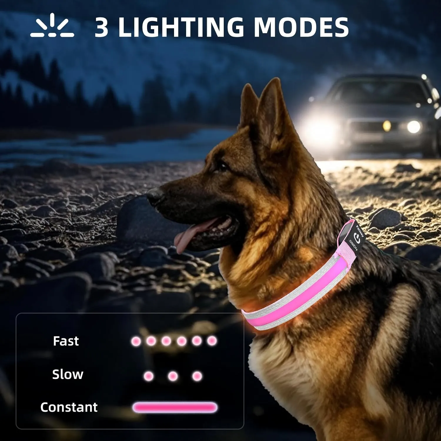 PetIsay LED Dog Collar Metal Buckle - Heavy Duty Light up Collars - Rechargeable IP68 Waterproof - Lighted Dog Collar for Night Walking, Hiking, Camping (Medium, Pink)