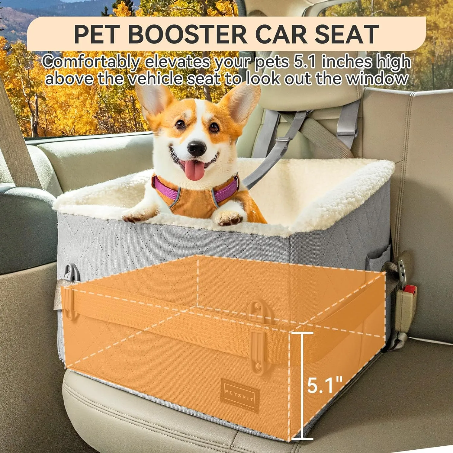 PETSFIT Small Dog Car Seat, Soft Foam Dog Booster Car Seat with Patented Safety Buckles, Storage Pockets and Detachable Clip-On Safety Leash, Dog Car Seat for Medium Dogs 30 LBS (Grey)