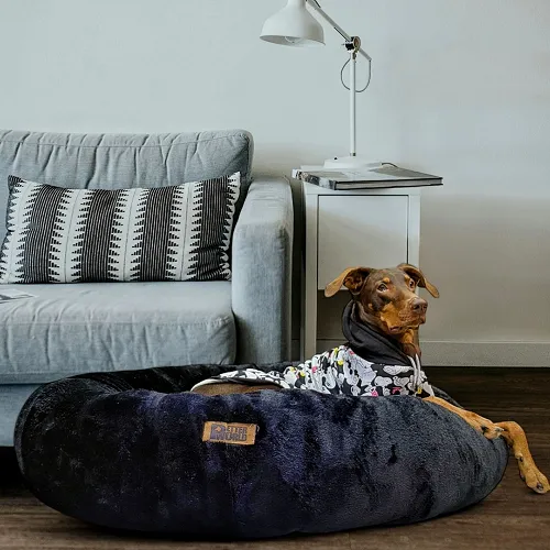 Petter World Anxiety Relieving Donut Bed for Dogs and Cats (Charcoal)