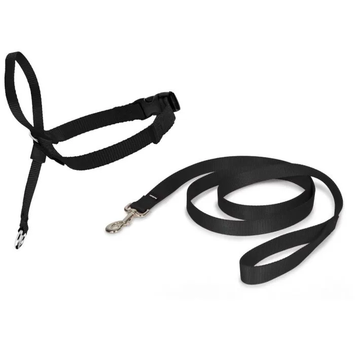 Premier Pet Easy Walk Head Collar Black Dog