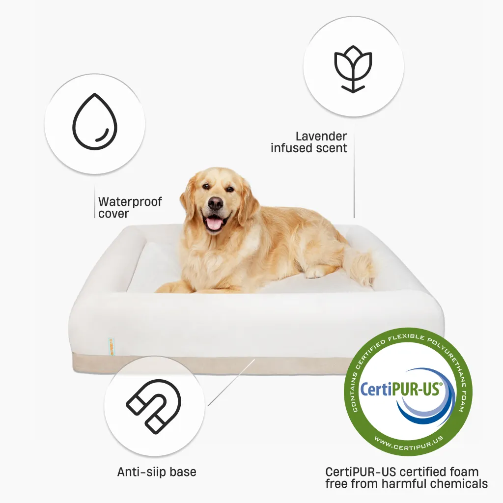 Premium Orthopedic Memory Foam Dog Bed - Champagne (Large)