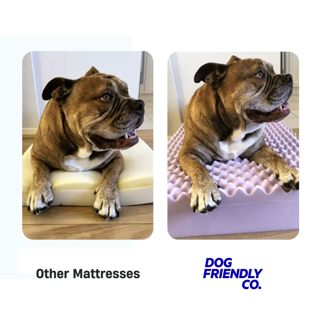 Premium Orthopedic Memory Foam Dog Bed - Grey (Medium)
