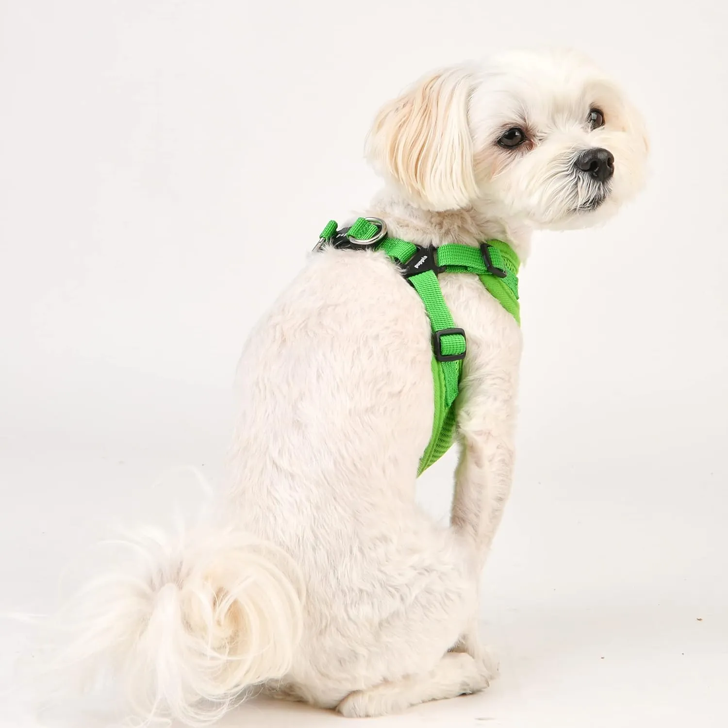 Puppia Dog Harness Comfort Mesh Step-in All Season No Pull No Choke Walking Training Adjustable Neck & Chest for Small & Medium Dog - Green - XL