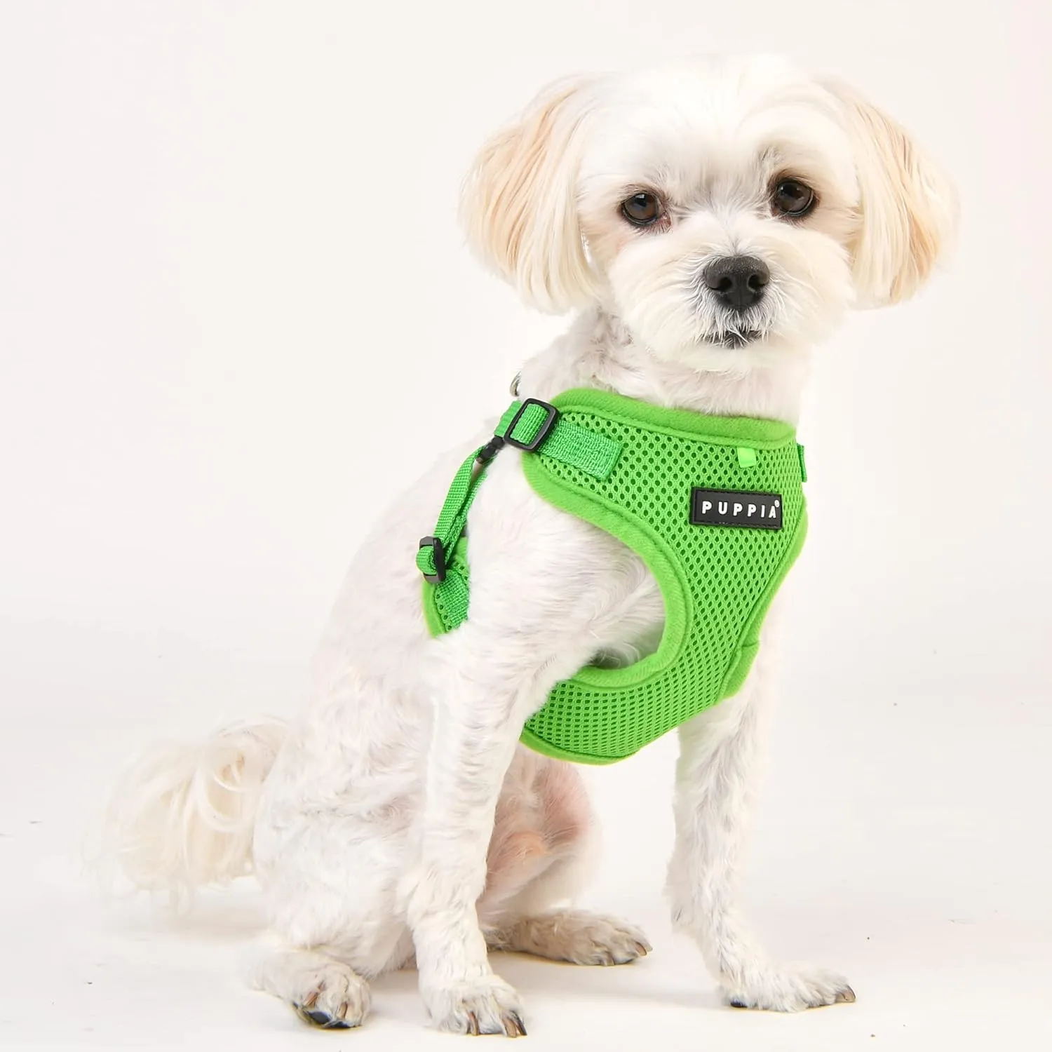 Puppia Dog Harness Comfort Mesh Step-in All Season No Pull No Choke Walking Training Adjustable Neck & Chest for Small & Medium Dog - Green - XL