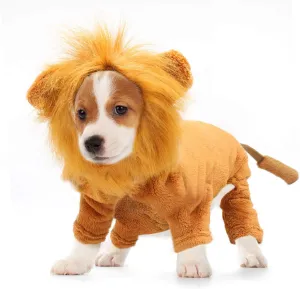 Rypet 