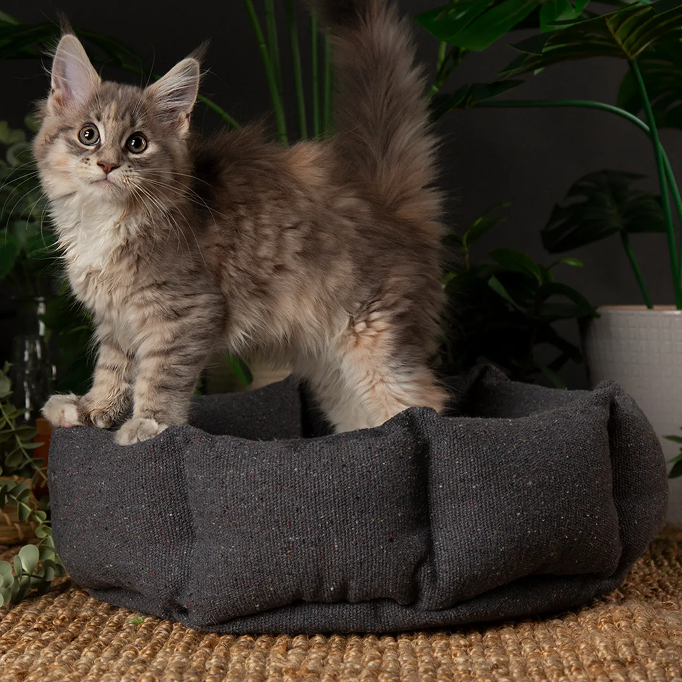 Scruffs 100% Recycled Charcoal Grey Eco Eden Cat Bed