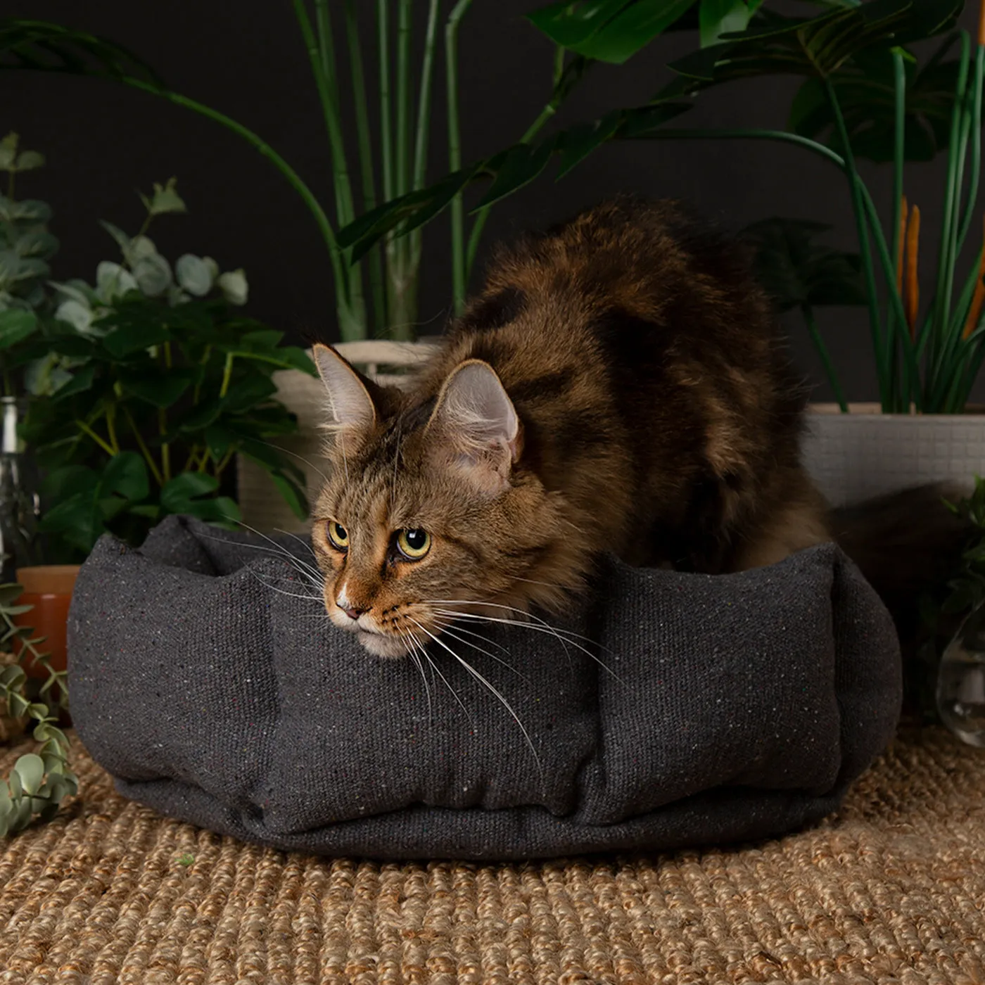 Scruffs 100% Recycled Charcoal Grey Eco Eden Cat Bed