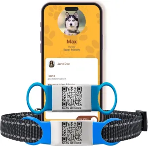 Smart Slide-On QR Code Pet Tag  Silent Dog & Cat ID Tag with Laser Engraving  Stainless Steel & Silicone  No App Needed  Custom Pet Profile  Fits Most Collars (Blue, Large)