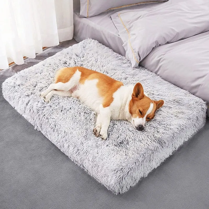 Soft Calming and Relaxing Ultra Plush Dog and Cat Bed