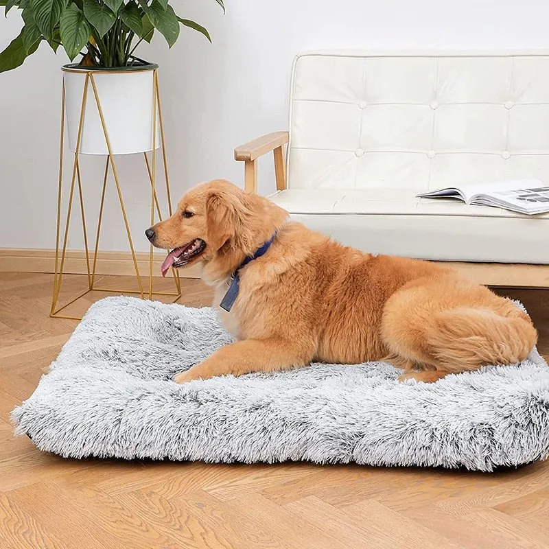 Soft Calming and Relaxing Ultra Plush Dog and Cat Bed