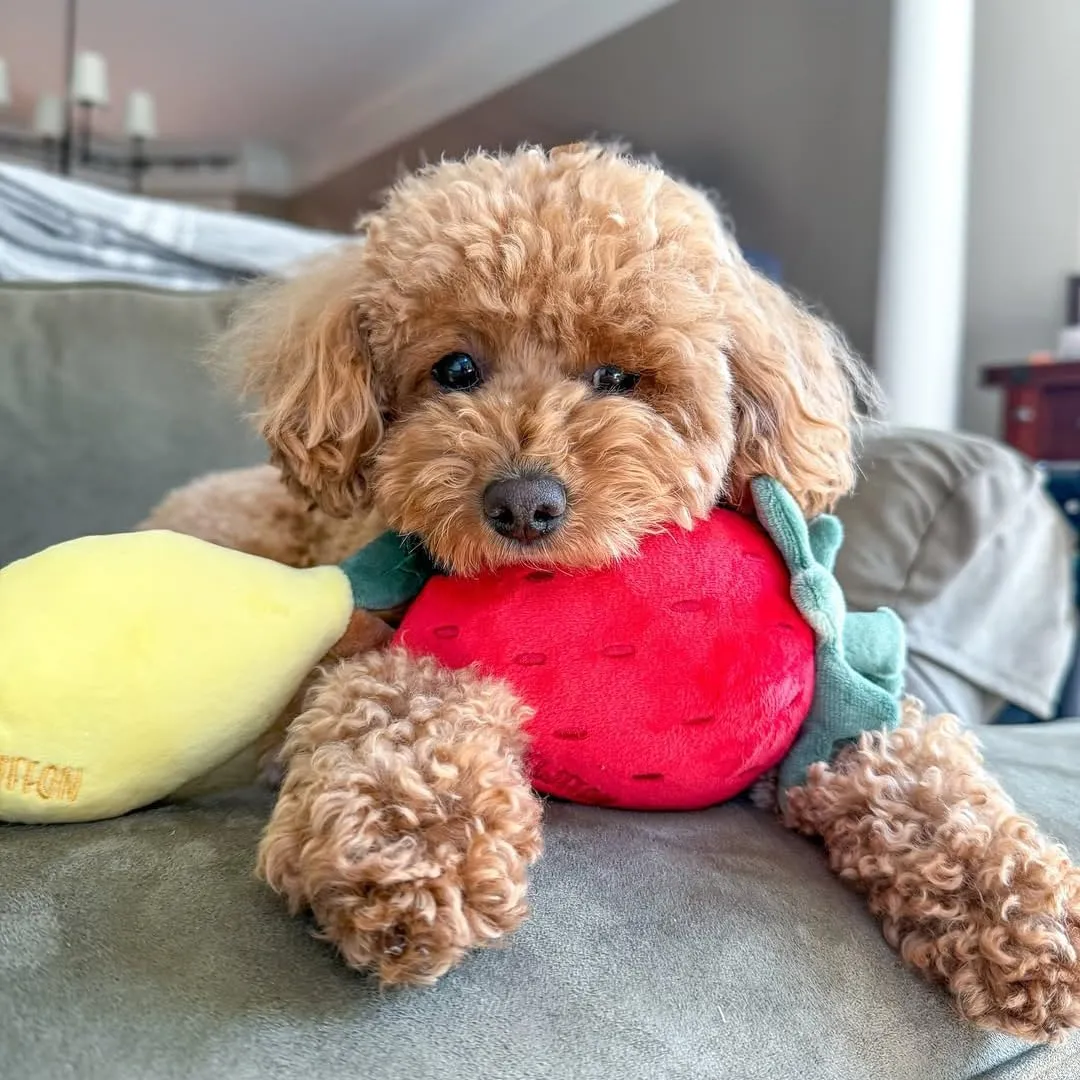 Squeaky Plush Dog Toys, Puppy Toys, Lemon Squeaky Toy, Durable Puppy Toy with Tough Nylon Lining, Cute Stuffed Dog Gift Toys for Small and Medium Dogs