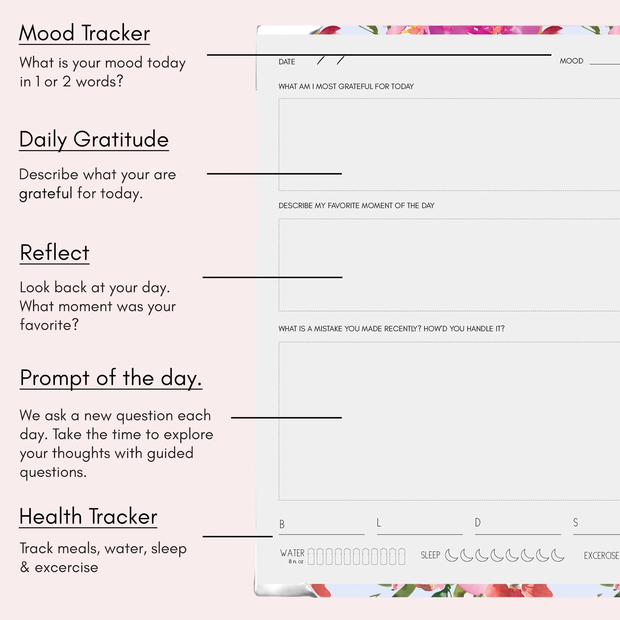 Stargazing | Wellness Journal
