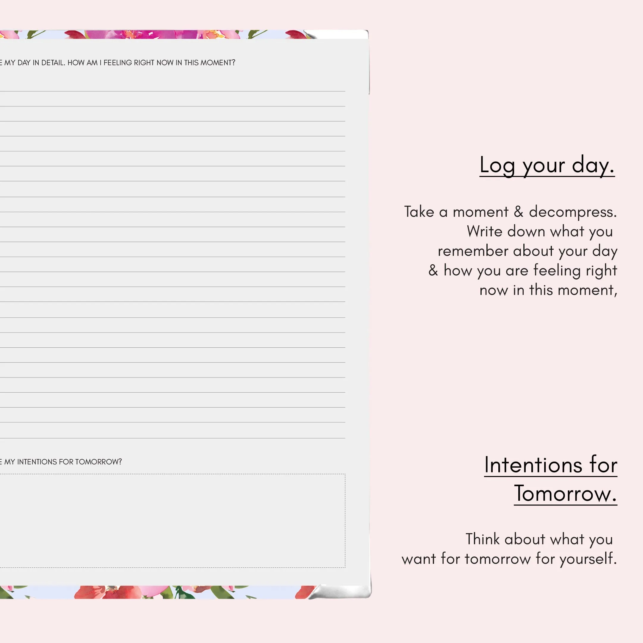 Stargazing | Wellness Journal