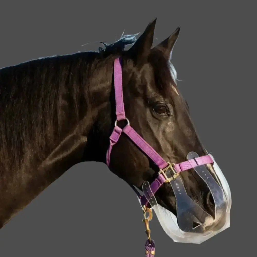 ThinLine Flexible Grazing Muzzles For Horses 3.5cm