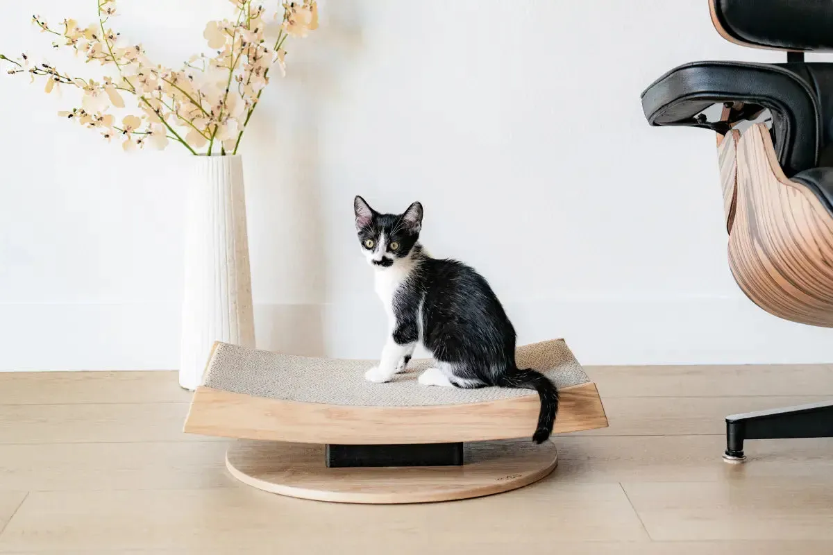 Torii Modern Wooden Cat Scratcher - NEW!!!