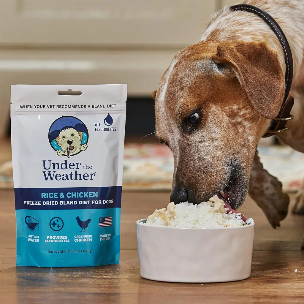 Under the Weather Rice & Chicken Freeze Dried Bland Diet for Dogs, 6-oz