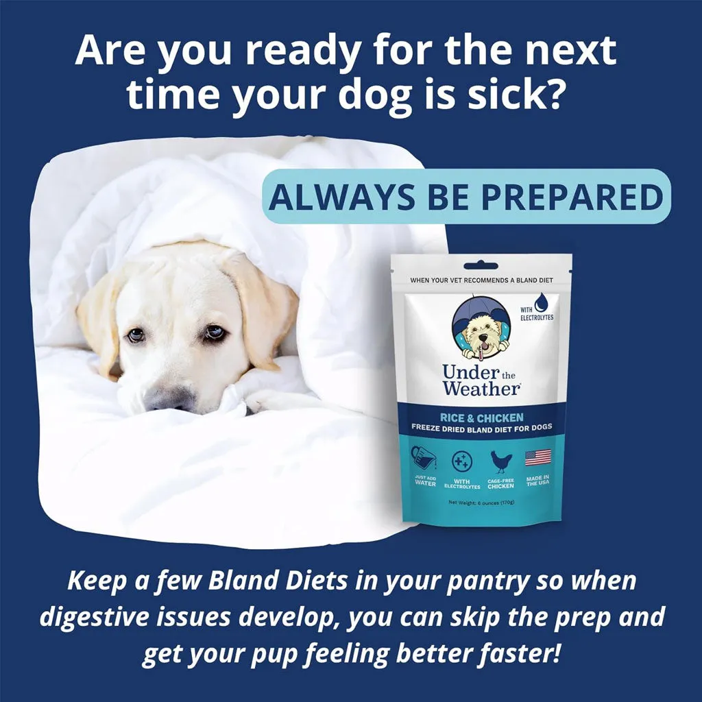 Under the Weather Rice & Chicken Freeze Dried Bland Diet for Dogs, 6-oz