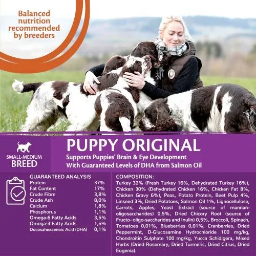 Wellness CORE Grain Free Dry Puppy Food Chicken and Turkey 10kg   2kg Free