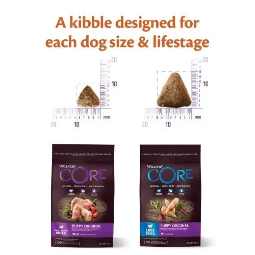 Wellness CORE Grain Free Dry Puppy Food Chicken and Turkey 10kg   2kg Free