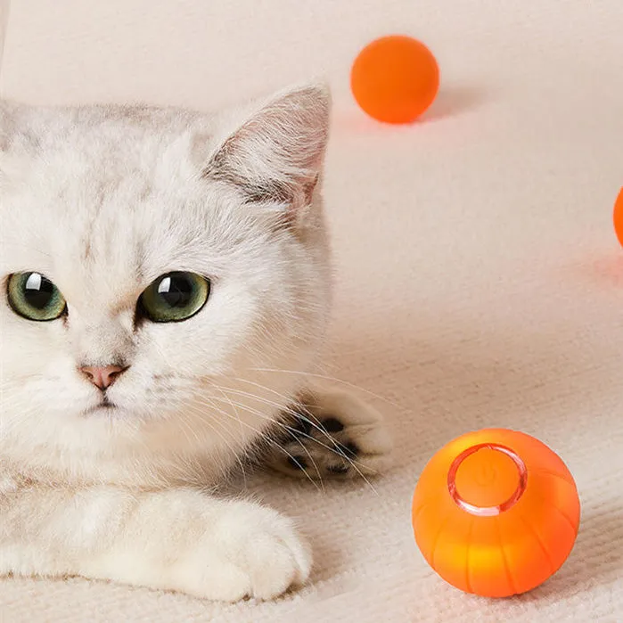 Whiska Ball (Special Edition)