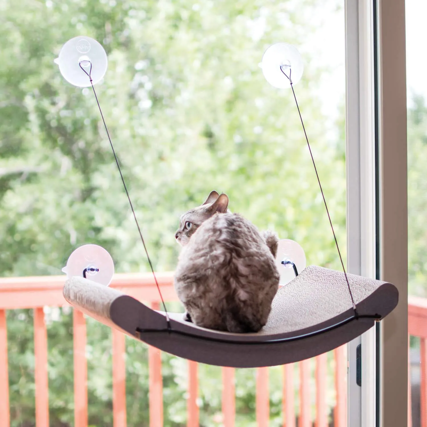 Window Cat Scratcher Kitty Sill Cradle - K&H Pet Products EZ Mount